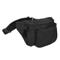 Fanny pack