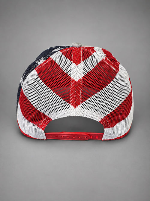 America 250